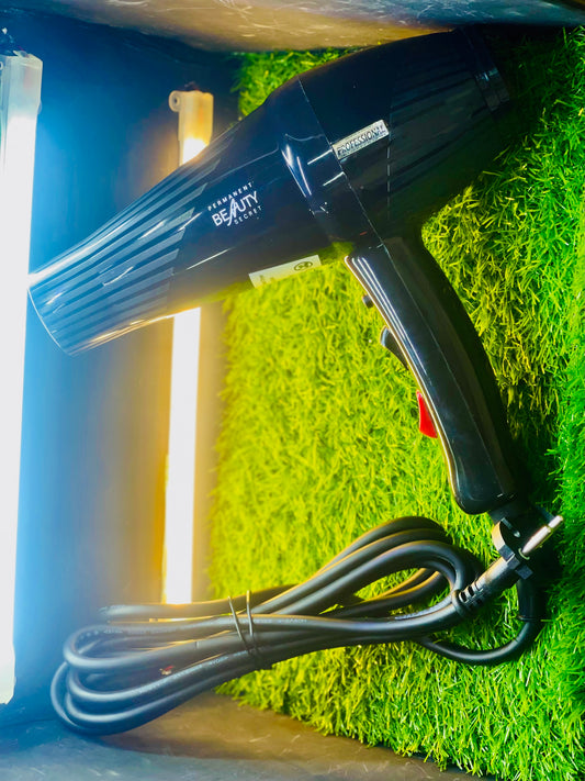 PBS Professional Hair Dryer 8919